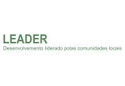 Leader